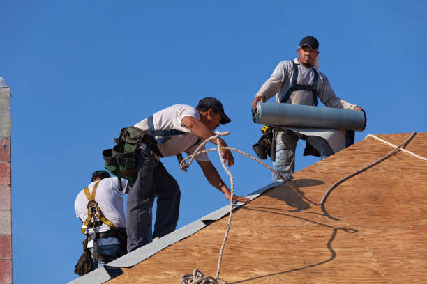 Best Metal Roofing Contractor  in Idylwood, VA