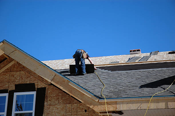 Best Roof Gutter Cleaning  in Idylwood, VA